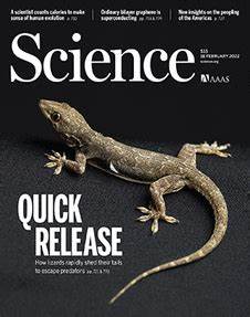 Scientist busts myths about how humans burn calories–and why (2022)