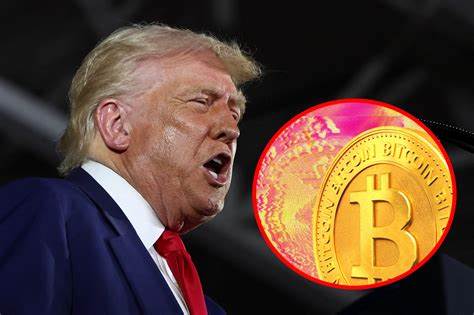 764,000 lost money on Trump meme coins, while 58 profited