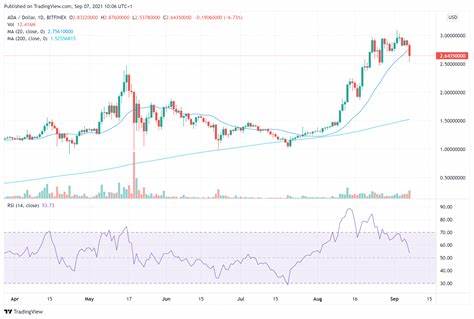 Is Cardano a Smart Cryptocurrency to Buy Now?