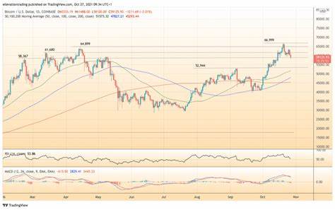 Bitcoin-Preis heute: auf 60.000 US-Dollar gesunken, da Inflationsängste belasten Von Investing.com - Investing.com Nigeria

