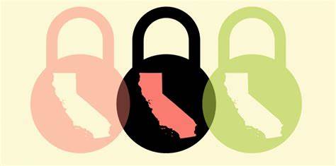 Californians Can Sue Out-of-State Corporations That Violate State Privacy Laws