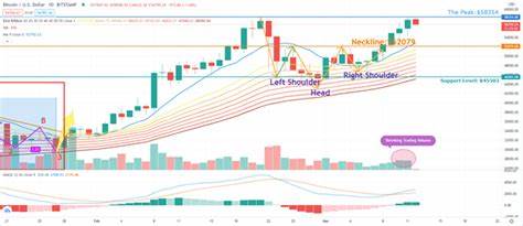 Why Did Bitcoin Plunge Under $58,000? On-Chain Data Says This - NewsBTC
