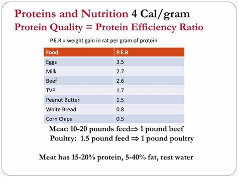 Ranking Foods by Protein Efficiency