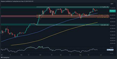 BTC’s Path to New ATH Is Full of Obstacles but Whales’ Activity Brings Hope: Bitcoin Price Anal... - CryptoPotato