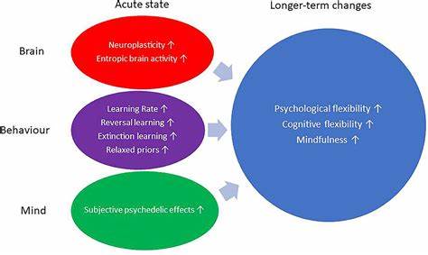 Healthcare Access, Gender, and Psychedelics and Their Effects on Distress