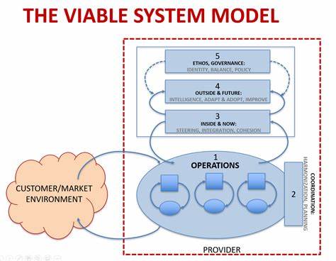 The Viable Systems Model