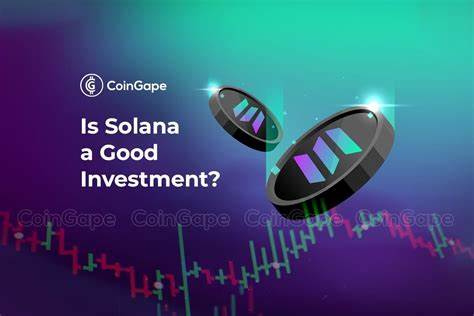  Solana &#039;will make everyone an investor&#039; — Solana nCMO 
