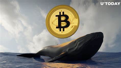 Big Bitcoin Bet as BTC Whale Doubles Down With $393 Million Long Position