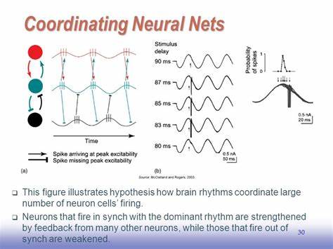 Brain Cells Tune to Multiple Rhythms Like a Neural Radio
