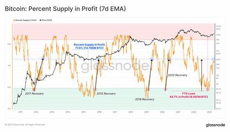 Jubilation Or Warning Sign? 90% Of Bitcoin Supply In Profit - Analysis