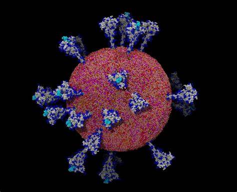 What Does a Coronavirus Look Like? (2020)