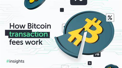 'Attack on Bitcoin’ Claims Circulate as Transaction Fees Climb Higher - Decrypt