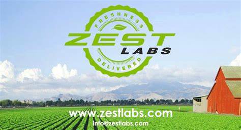 Walmart faces $222m verdict for Zest Labs’ trade secrets theft