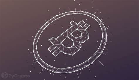 German Authorities Move Millions in Bitcoin to Kraken and Coinbase: BTC Stays Steady - Milk Road
