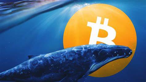Ancient Bitcoin Whale Reactivates, Moves Bitcoin Mined A Month After $BTC Launch - LatinTimes