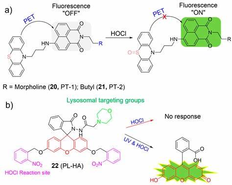 Recurrent fluorescence helps organic molecules survive extreme conditions