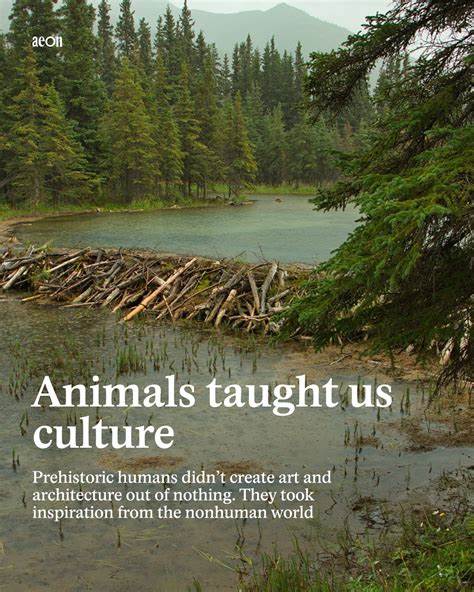 Animals Taught Us Culture