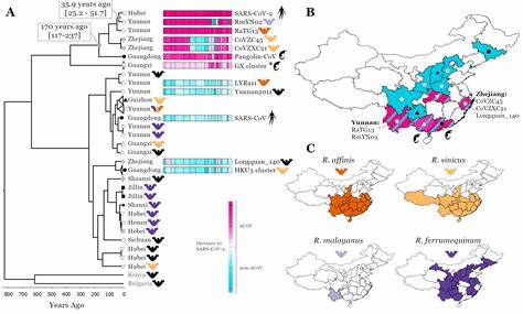 Recency and geog origins of the bat viruses ancestral to SARS-CoV and SARS-CoV-2